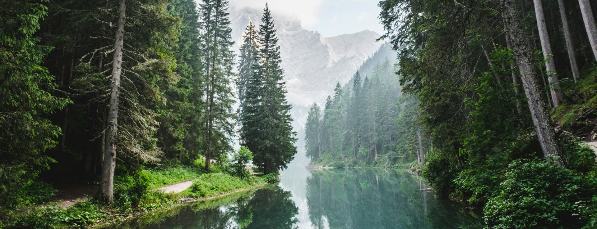 Alternative Einnahmequellen für Land- und Forstwirte